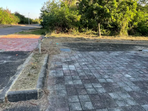 景觀除草｜台中景觀除草｜台中防水工程｜大雅景觀除草｜大雅防水工程