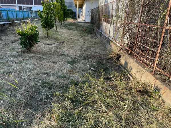 景觀除草｜台中景觀除草｜台中防水工程｜大雅景觀除草｜大雅防水工程