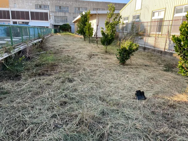 景觀除草｜台中景觀除草｜台中防水工程｜大雅景觀除草｜大雅防水工程