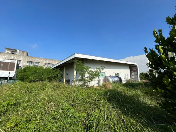 景觀除草｜台中景觀除草｜台中防水工程｜大雅景觀除草｜大雅防水工程