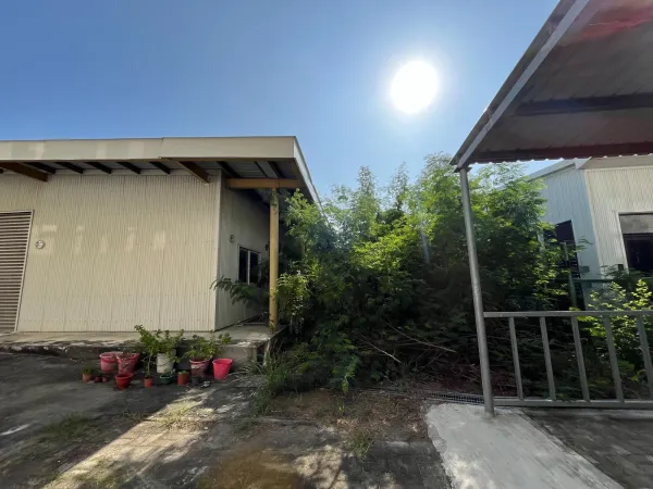 景觀除草｜台中景觀除草｜台中防水工程｜大雅景觀除草｜大雅防水工程