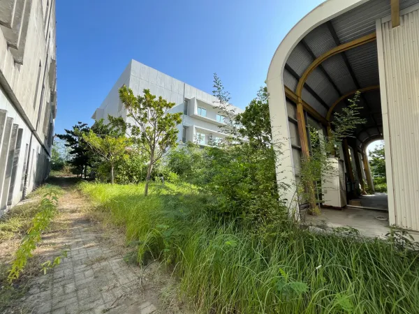 景觀除草｜台中景觀除草｜台中防水工程｜大雅景觀除草｜大雅防水工程