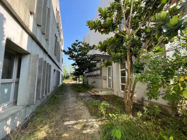 景觀除草｜台中景觀除草｜台中防水工程｜大雅景觀除草｜大雅防水工程