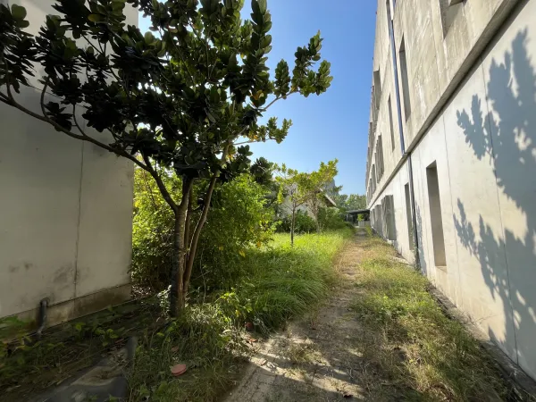 景觀除草｜台中景觀除草｜台中防水工程｜大雅景觀除草｜大雅防水工程