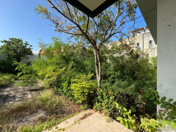 景觀除草｜台中景觀除草｜台中防水工程｜大雅景觀除草｜大雅防水工程