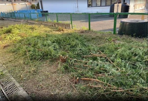 景觀除草｜台中景觀除草｜台中防水工程｜大雅景觀除草｜大雅防水工程