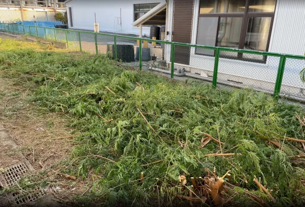 景觀除草｜台中景觀除草｜台中防水工程｜大雅景觀除草｜大雅防水工程