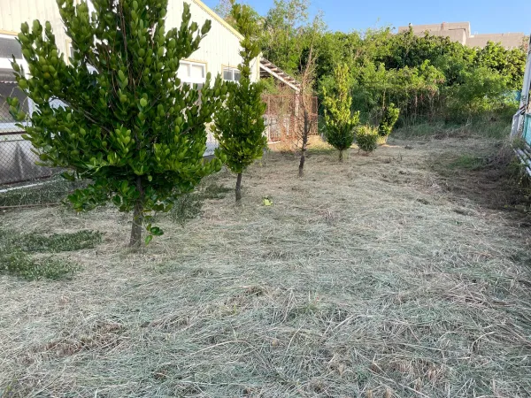 景觀除草｜台中景觀除草｜台中防水工程｜大雅景觀除草｜大雅防水工程
