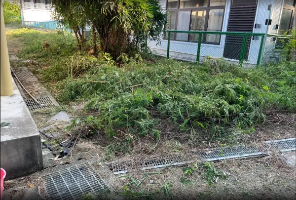 景觀除草｜台中景觀除草｜台中防水工程｜大雅景觀除草｜大雅防水工程