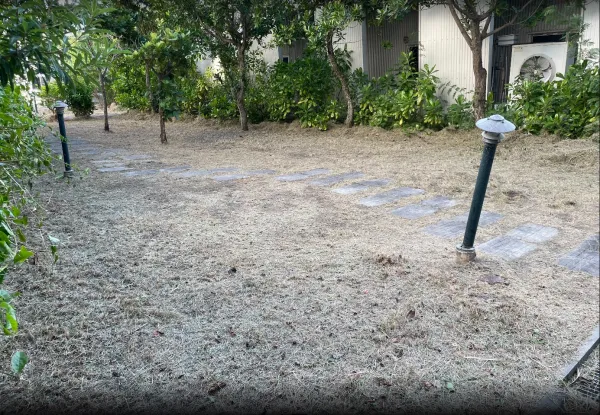景觀除草｜台中景觀除草｜台中防水工程｜大雅景觀除草｜大雅防水工程