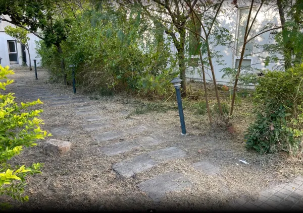 景觀除草｜台中景觀除草｜台中防水工程｜大雅景觀除草｜大雅防水工程