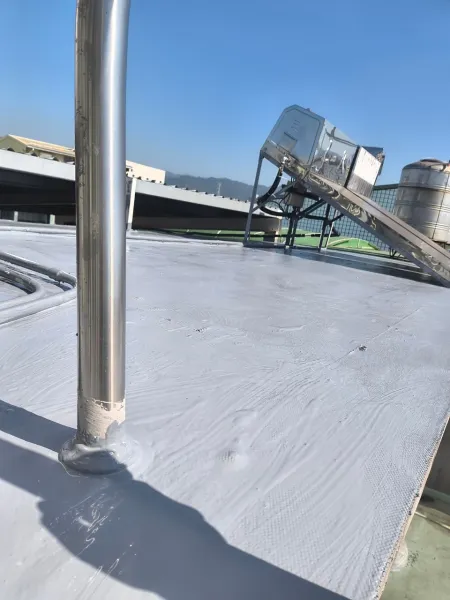 頂樓防水工程｜台中頂樓防水工程｜台中防水工程｜大雅頂樓防水工程｜大雅防水工程
