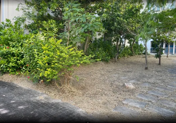 景觀除草｜台中景觀除草｜台中防水工程｜大雅景觀除草｜大雅防水工程