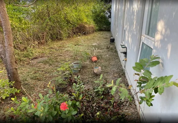 景觀除草｜台中景觀除草｜台中防水工程｜大雅景觀除草｜大雅防水工程