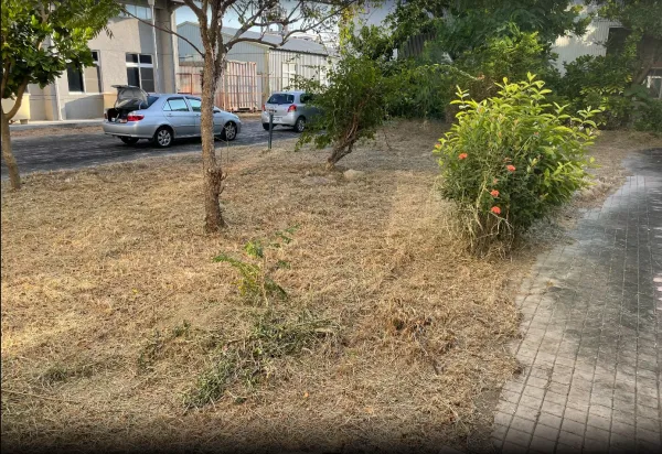 景觀除草｜台中景觀除草｜台中防水工程｜大雅景觀除草｜大雅防水工程