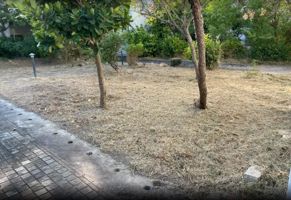 景觀除草｜台中景觀除草｜台中防水工程｜大雅景觀除草｜大雅防水工程