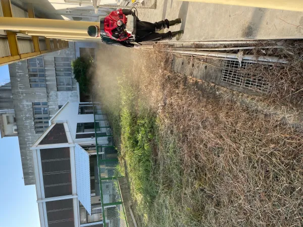 景觀除草｜台中景觀除草｜台中防水工程｜大雅景觀除草｜大雅防水工程