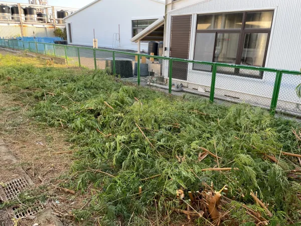 景觀除草｜台中景觀除草｜台中防水工程｜大雅景觀除草｜大雅防水工程