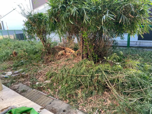 景觀除草｜台中景觀除草｜台中防水工程｜大雅景觀除草｜大雅防水工程