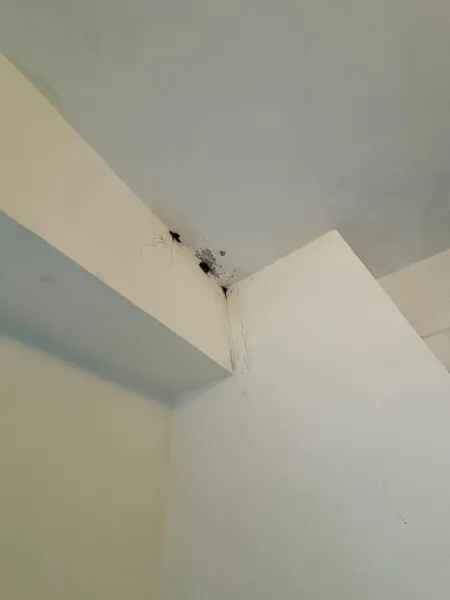 抓漏高壓灌注工程｜台中抓漏工程｜台中防水工程｜大雅抓漏工程｜大雅防水工程