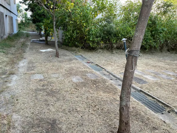 景觀除草｜台中景觀除草｜台中防水工程｜大雅景觀除草｜大雅防水工程