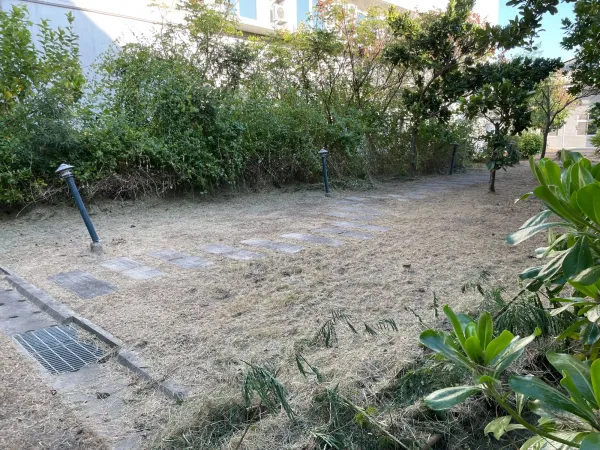 景觀除草｜台中景觀除草｜台中防水工程｜大雅景觀除草｜大雅防水工程