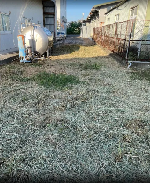 景觀除草｜台中景觀除草｜台中防水工程｜大雅景觀除草｜大雅防水工程