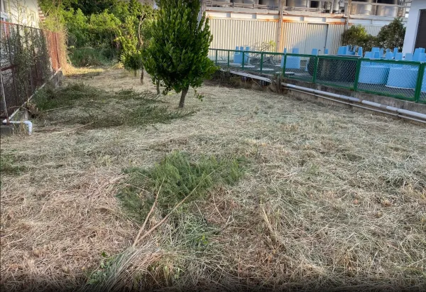 景觀除草｜台中景觀除草｜台中防水工程｜大雅景觀除草｜大雅防水工程