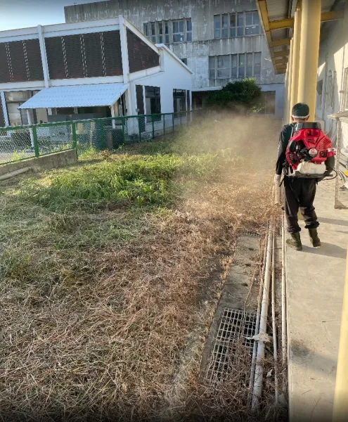 景觀除草｜台中景觀除草｜台中防水工程｜大雅景觀除草｜大雅防水工程
