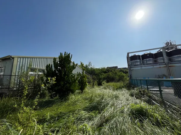 景觀除草|台中景觀除草|台中防水工程|大雅景觀除草|大雅防水工程