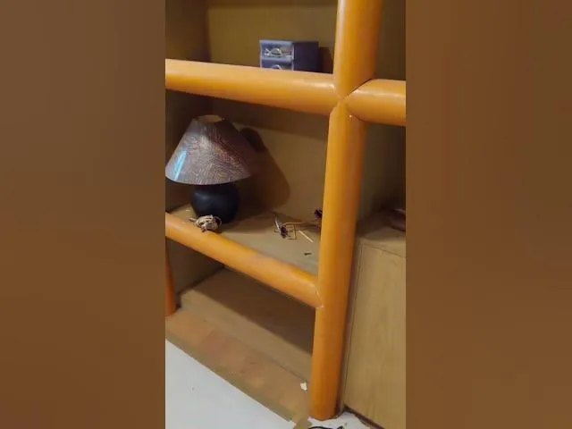 【仁興工程】透天翻新木工裝潢｜台北全屋翻新｜土城全屋翻新