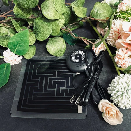 天氣冷了，你家小寶貝加熱了嗎？【爬蟲店】【爬爬蟲寵物店】