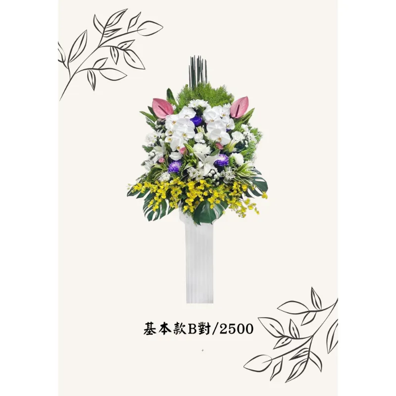基本款B