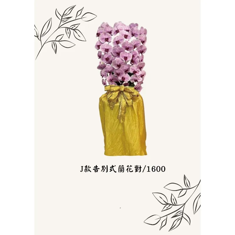 J款告別式蘭花