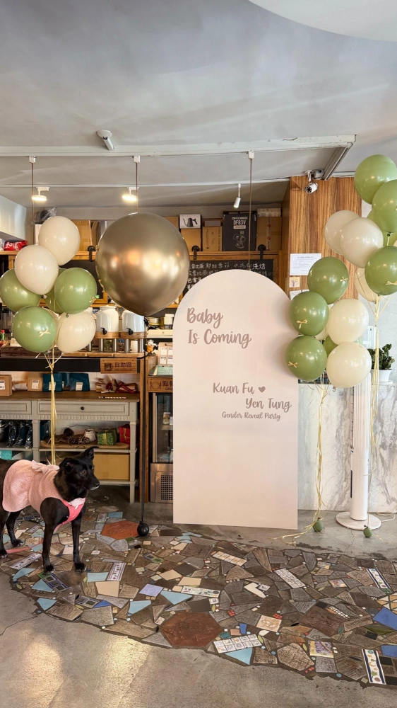 性別派對 空飄套組