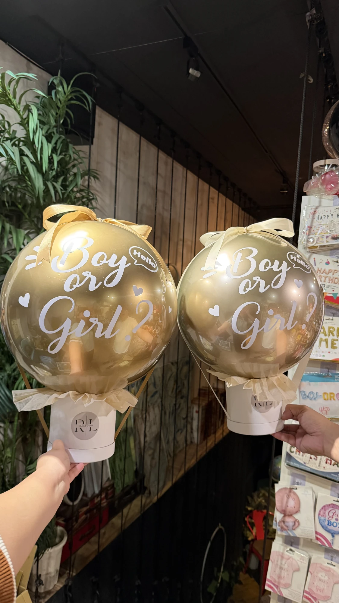 18寸性別揭曉抱抱桶