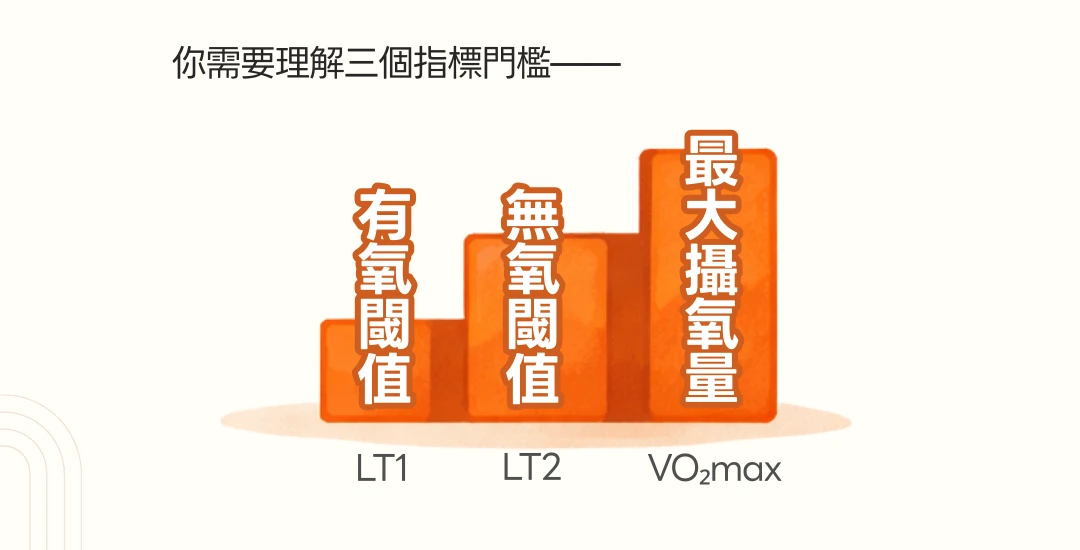 LT1、LT2、VO₂ max 是什麼?中高齡體能訓練必懂的三個生理門檻