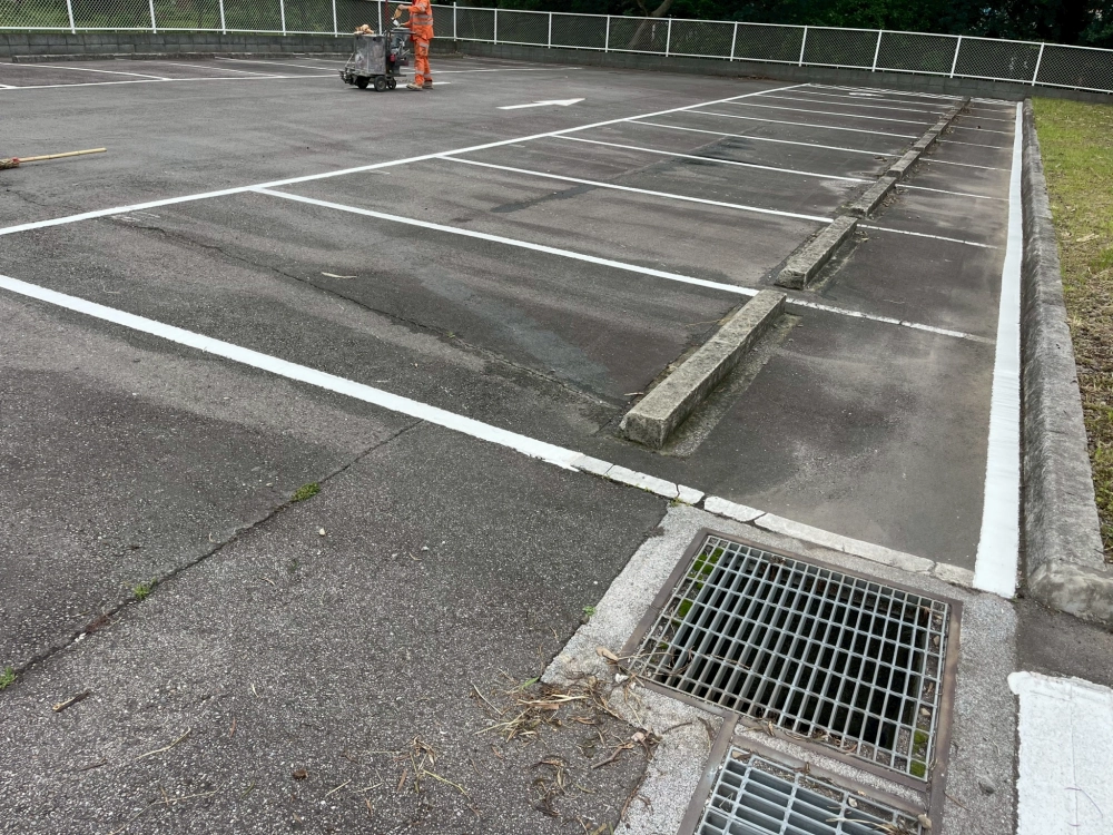 停車格、紅線、黃線是怎麼申請劃設的？台中道路標線｜南屯道路標線｜