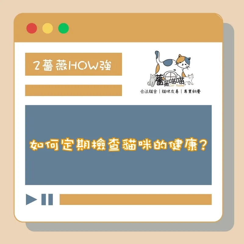 如何定期檢查貓咪的健康
