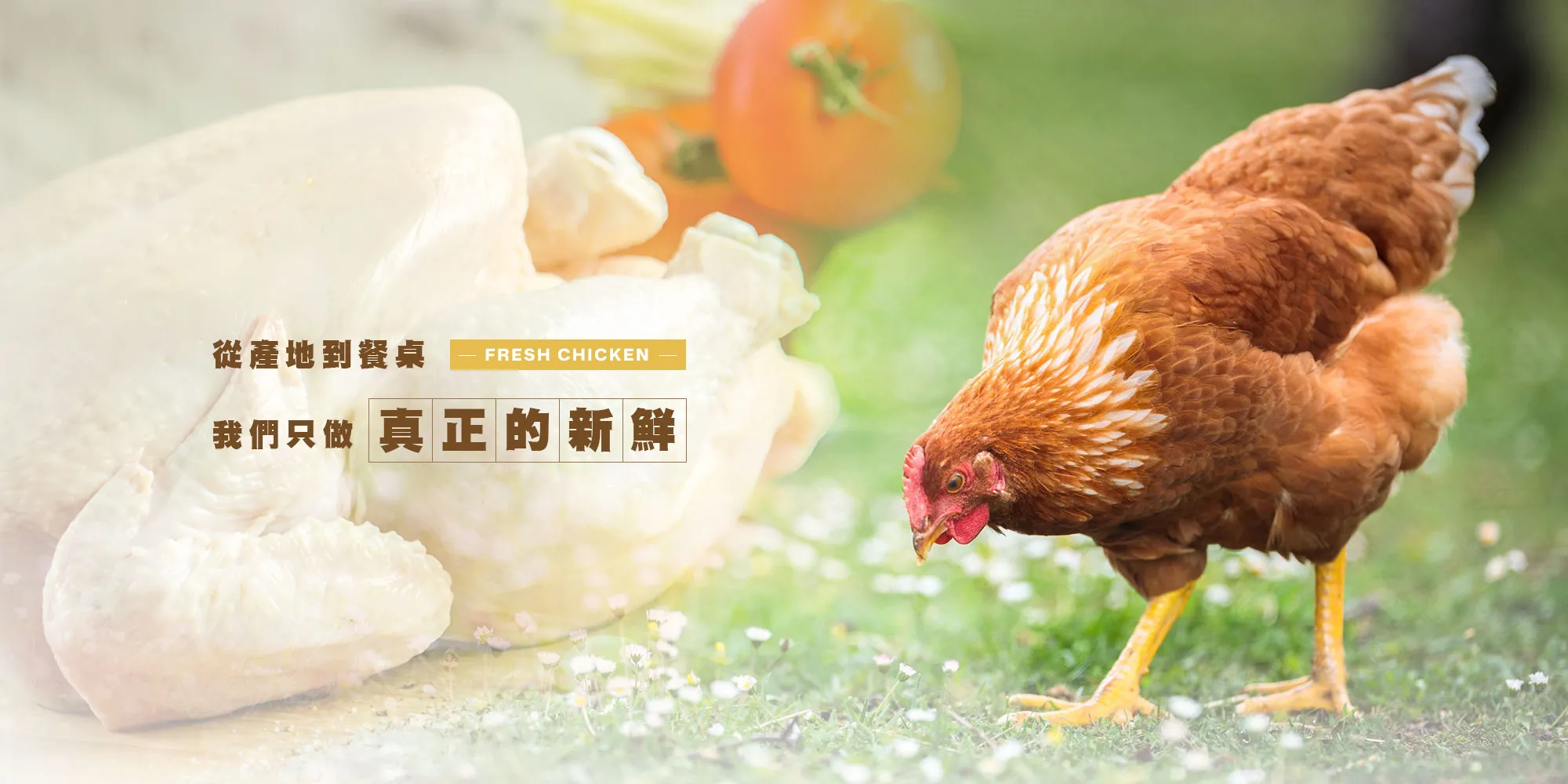 皇飴國際有限公司-雞肉供應商,台北雞肉供應商,萬華區雞肉供應商