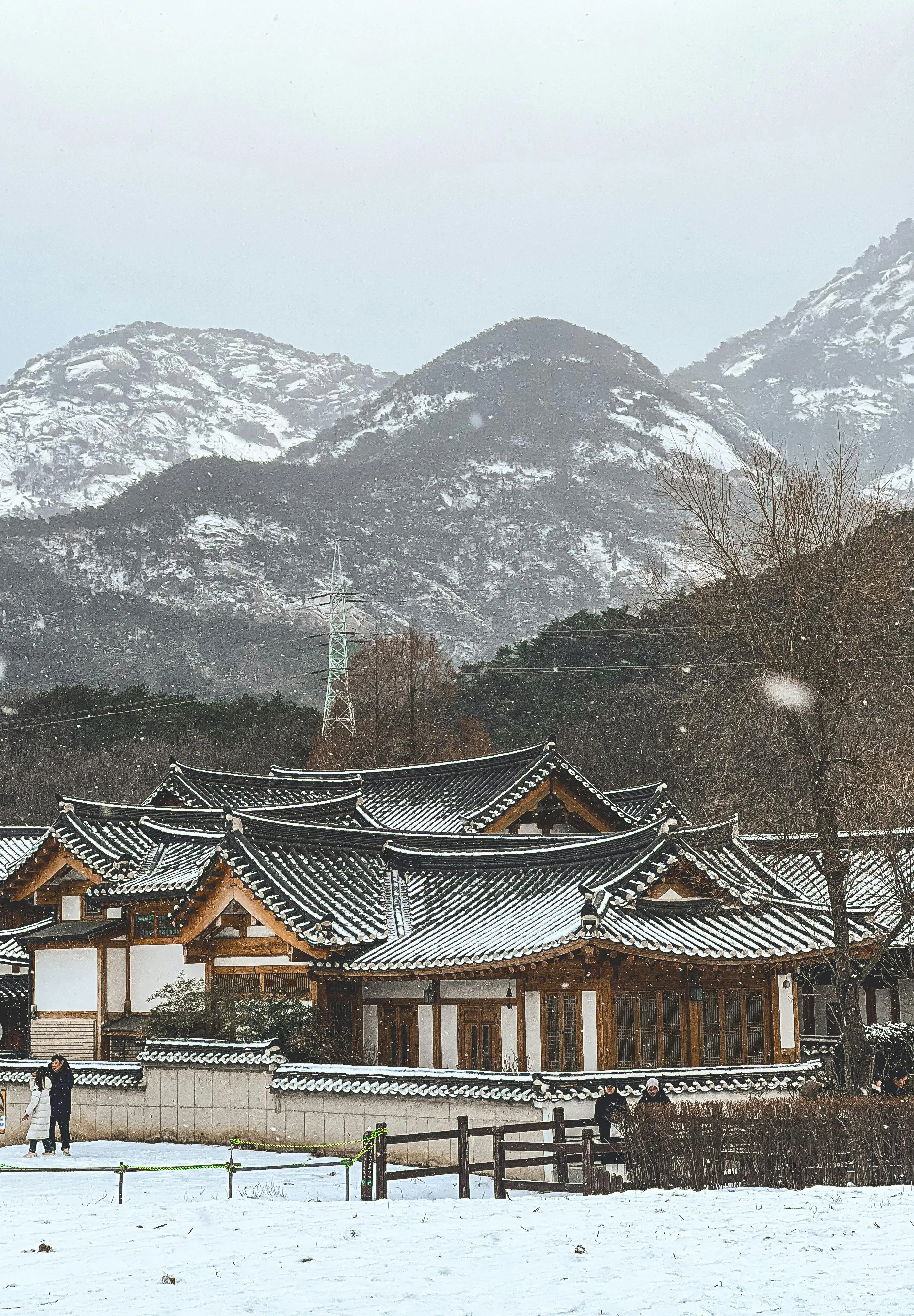 從滑雪場去首爾的下車地點可以選擇嗎？