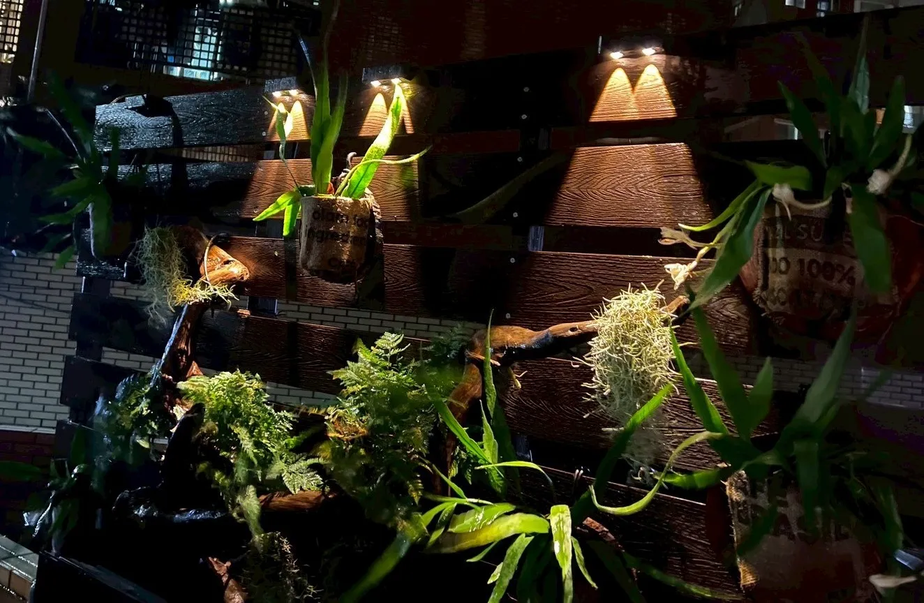 庭園工程與植物牆，綠化生活新趨勢