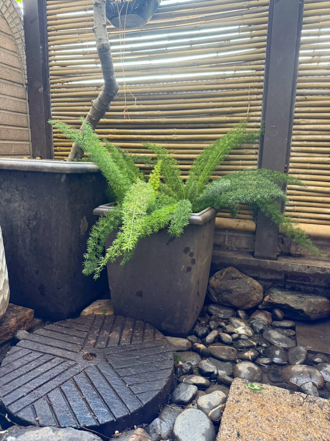 淡水楊宅