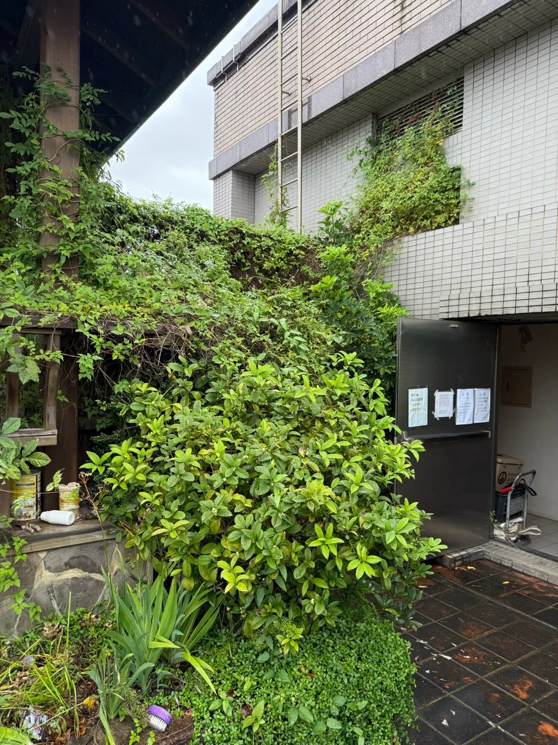 大安社區