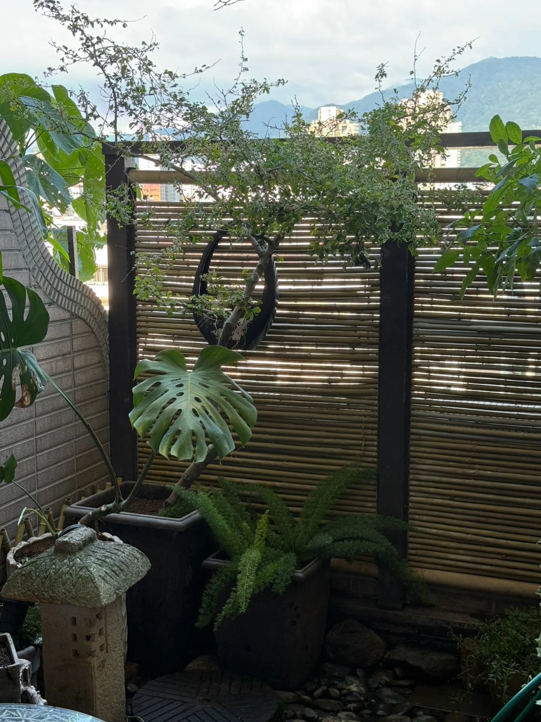 淡水楊宅