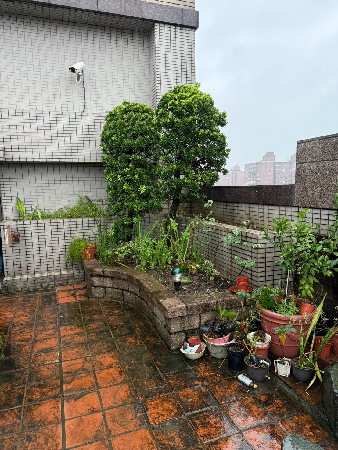 大安社區
