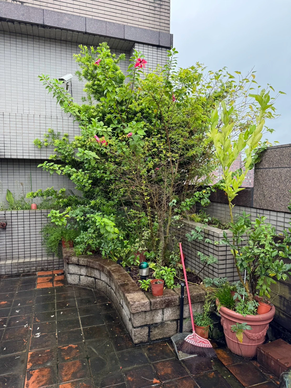 大安社區