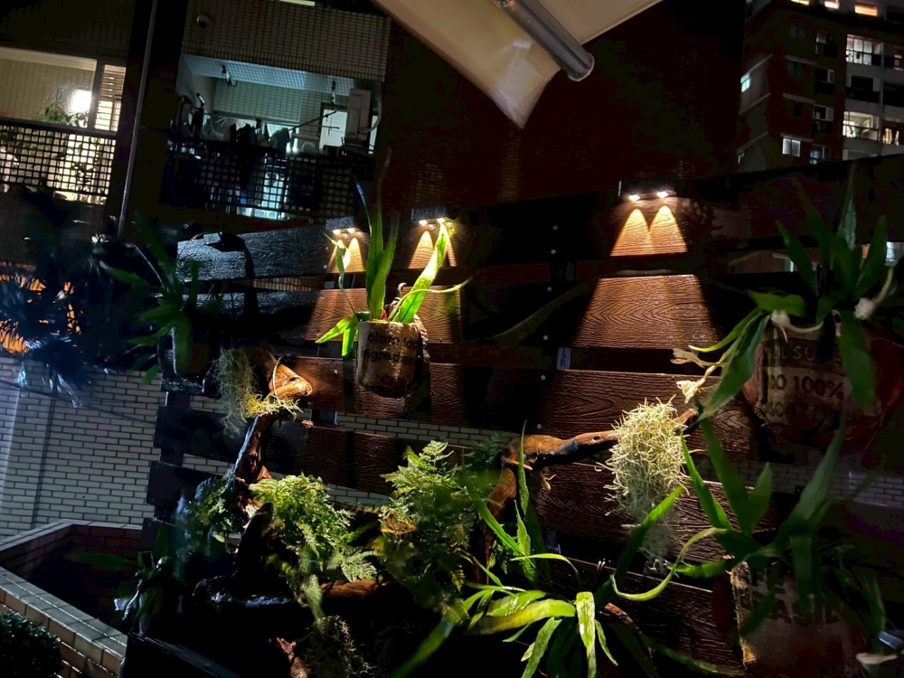植物牆設計