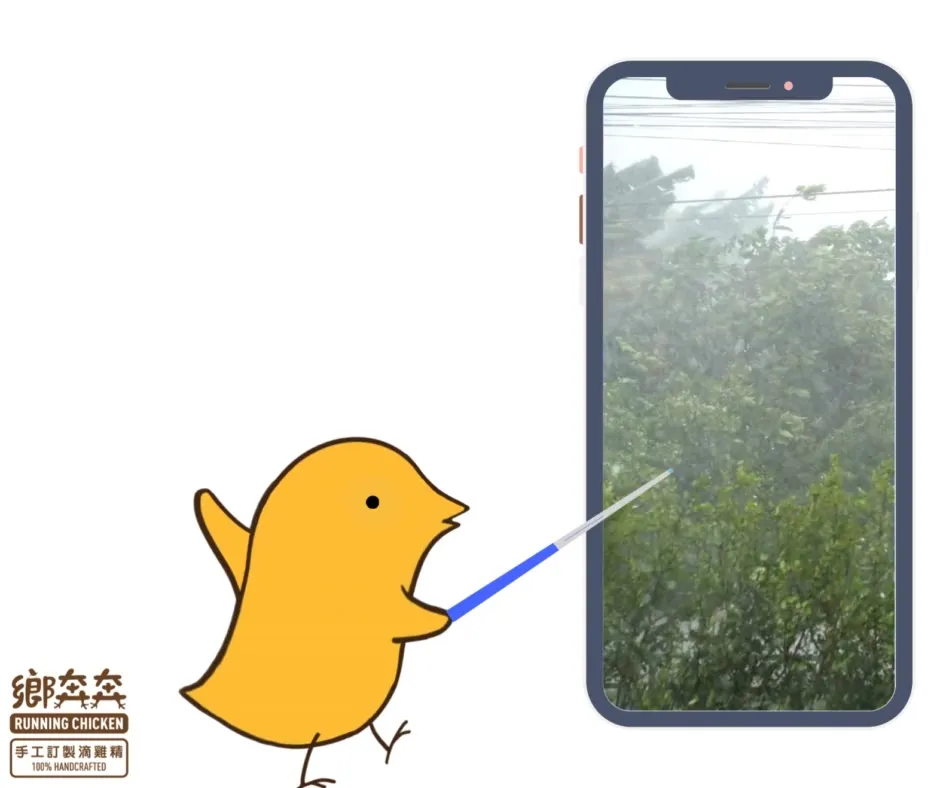 風真的很大 出門注意安全喔~滴雞精專賣店/雞精禮盒