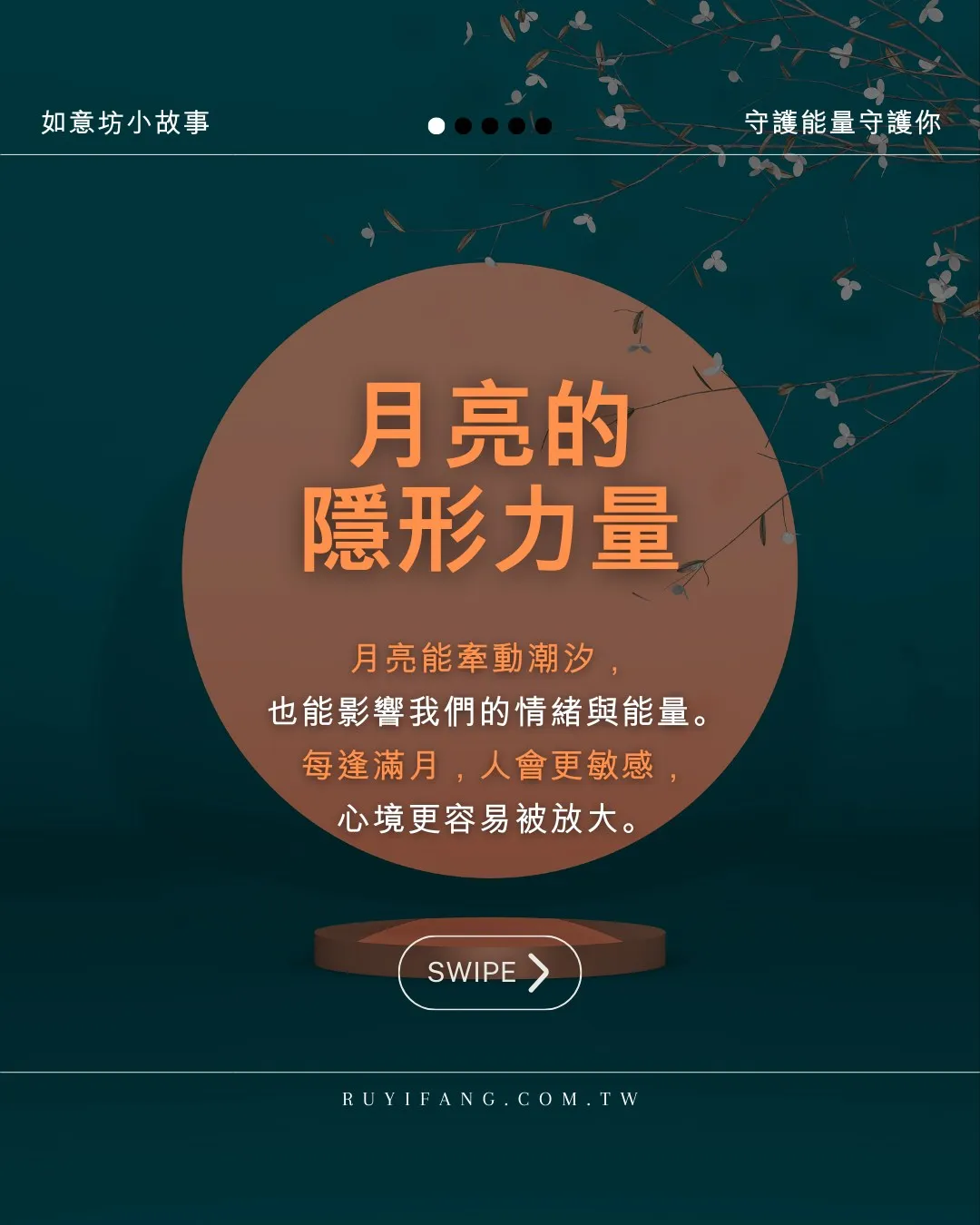 【月光的秘密】